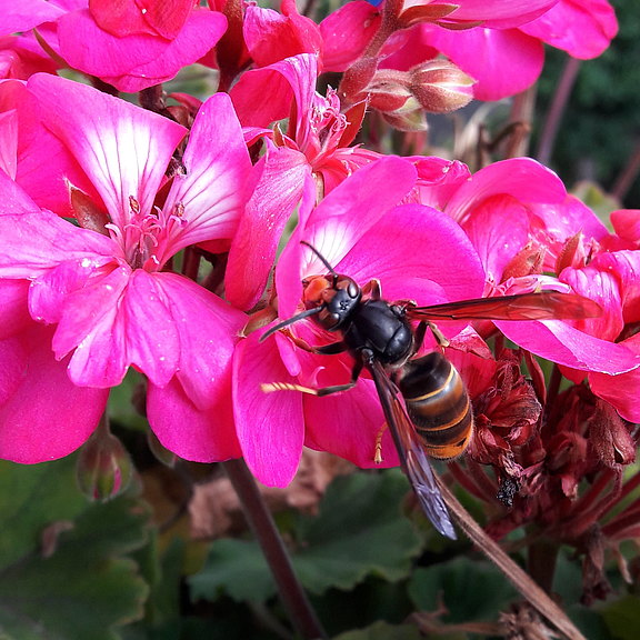 20200904_155433.jpg  